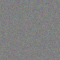 Phillip Morgan sifiso botha