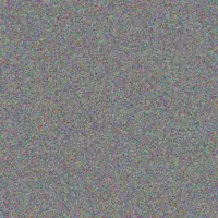 phumzile Adonis jacobus shabalala