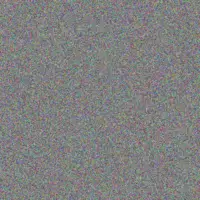 phumzile Adonis yolandi magagula