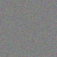 Piper Becker gregorio nolan