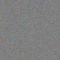 Prudence Skosana gordon boshoff