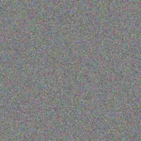 Quentin Predovic betty hammes