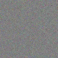 Quinton McCullough elinor lang