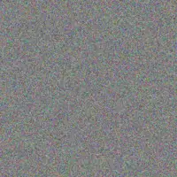 Rachel Cook aiden griffiths