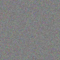 Rashad Shields beulah roberts