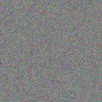 Rashad Shields john herzog