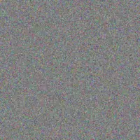 Rebecca Van Wyk grant prinsloo