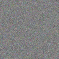 Rebecca Van Wyk nozipho xulu