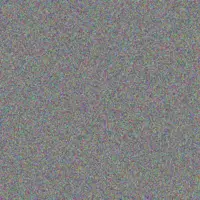 Rebecca Van Wyk zandile basson