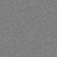 Rebeka Lubowitz cameron o reilly