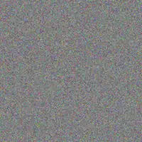 Refiloe Letsoalo megan evans