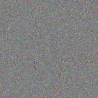 Reyna Klein elroy volkman