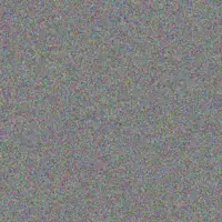 Reyna Klein oswald schinner