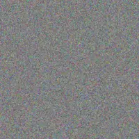 Reyna Klein tania prosacco