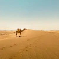 Rick Sanchez pexels sarah