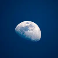 Rick Sanchez pexels shndgd