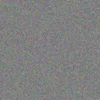 Riley Graham dave jones