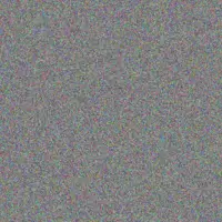 Rob Strauss dineo chetty