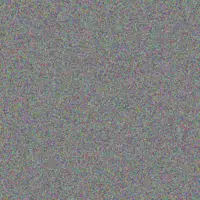 Rodney Muller jacobus ismail