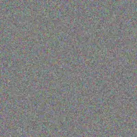 Rodney Muller shirley details