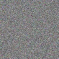 Rodney Van Eeden innocent botes