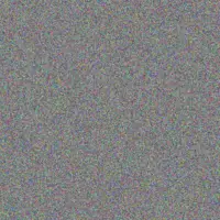 Rodney Van Eeden next baker