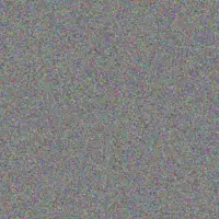 Rodney Van Eeden thandi neethling