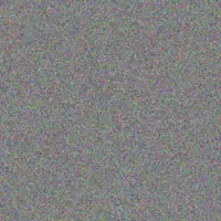 Rodney Van Eeden wayne mphahlele