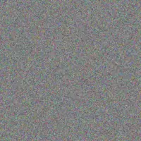 Roxanne Du Preez kgomotso mogale