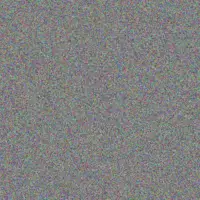 Roxanne Du Preez lisa hadebe