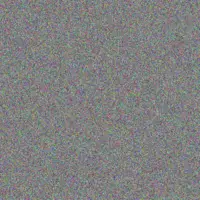 Rudi Mabunda fatima mohamed