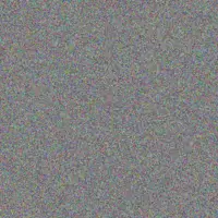 Rusty Mills rosetta medhurst