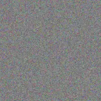 Saige Armstrong friedrich kirlin