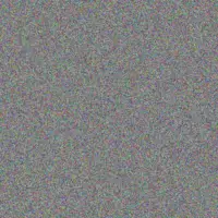 Sallie Kuphal alia dibbert