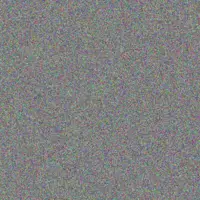 Samantha Kelly greg hoosen