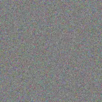 Sandile Bennett lynn johnson