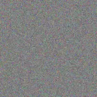 Sandile Mohamed nicolene davis