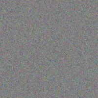 Sean Koen christiaan hall