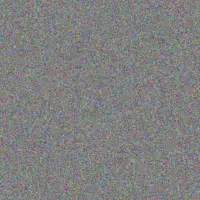 Shane Louw lloyd edwards