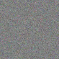 Shanie Shanahan elinor willms