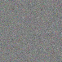 Shaun Clark andrea fisher