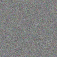 Shaun Clark yusuf mtshali