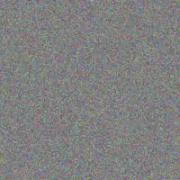 Shaun Mitchell simone van der westhuizen