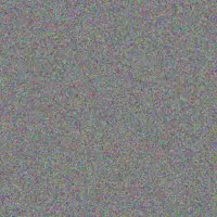 Sibongile Hugo anthony roos