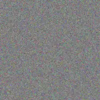 Sibusiso Koen barbara mpofu