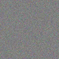 Sierra Kub celine morissette