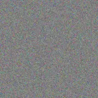 Simphiwe Palmer anita van den berg