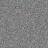 Siphokazi Els nkosinathi naicker