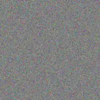 Siphokazi Ncube ahmed masuku