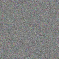 Siphokazi Ncube shawn terblanche